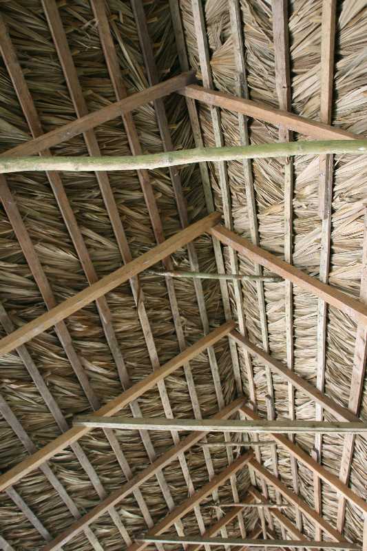 Mexico & Guatemala 2010 - 0280